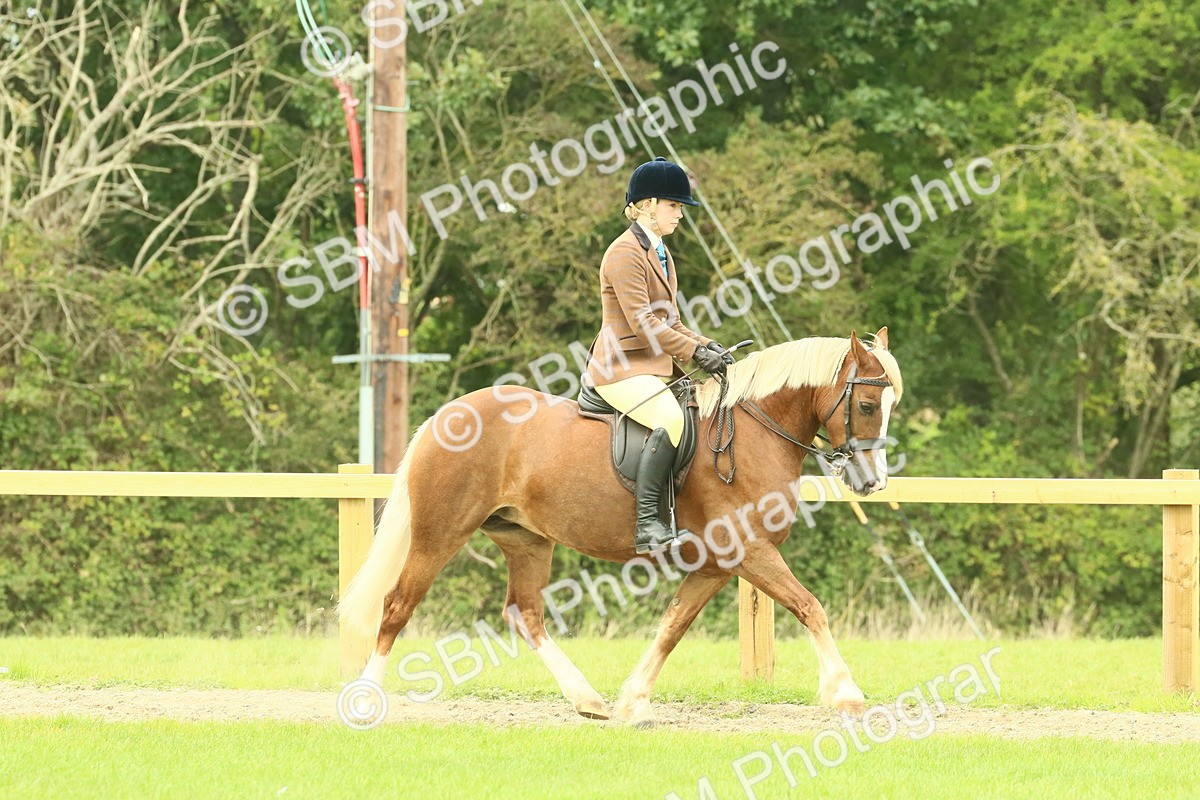 SBM_71855 - S60 - Mountain & Moorland Ridden Large Breeds