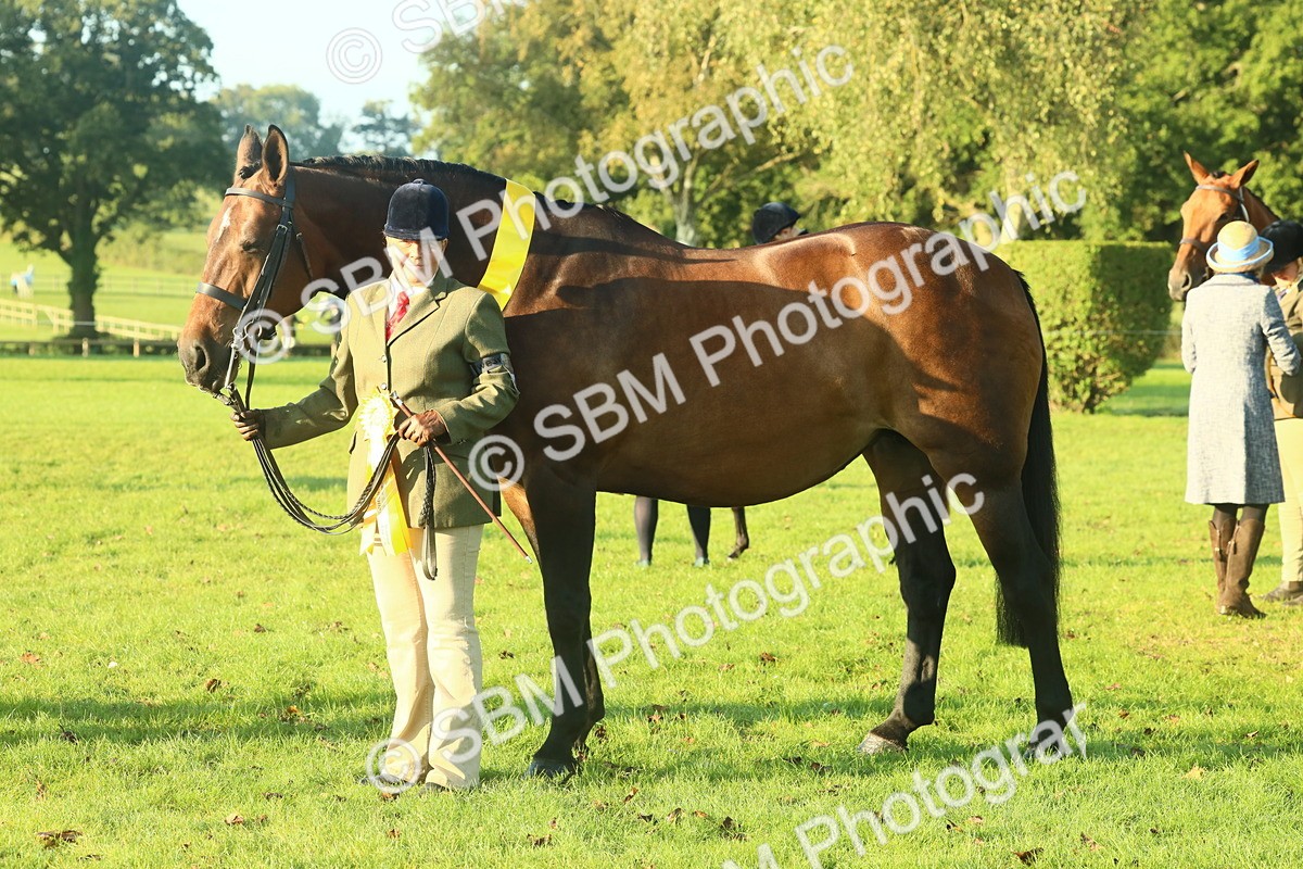 SBM_56736 - S36 - Starters Best Turnout