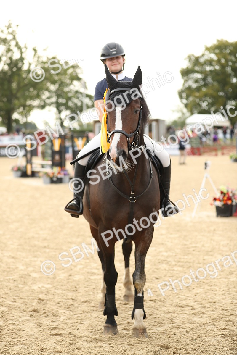 SBM_56196 - J24 - Junior Horse 75cm Championship