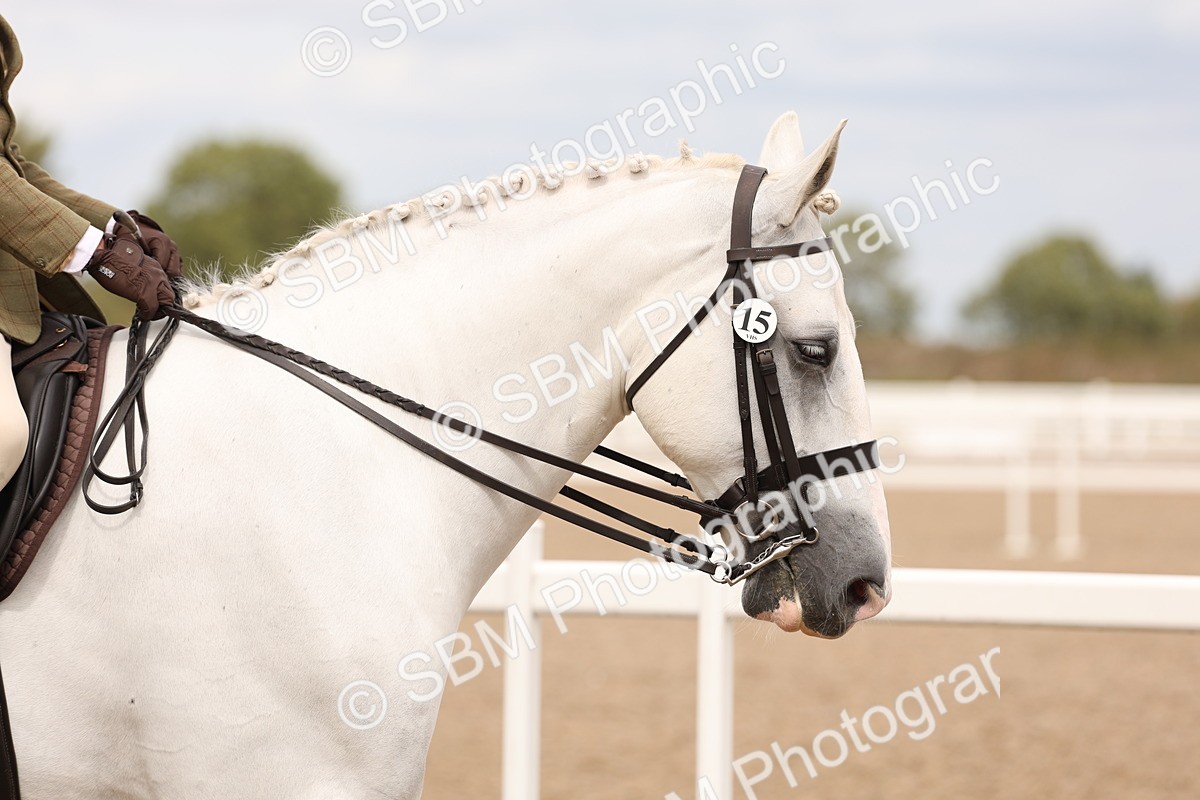 SBM_17175 - Class 213 - Ridden Hunter - Large