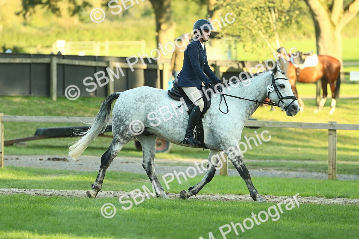 SBM_55593 - S14 - Riding Club Horse