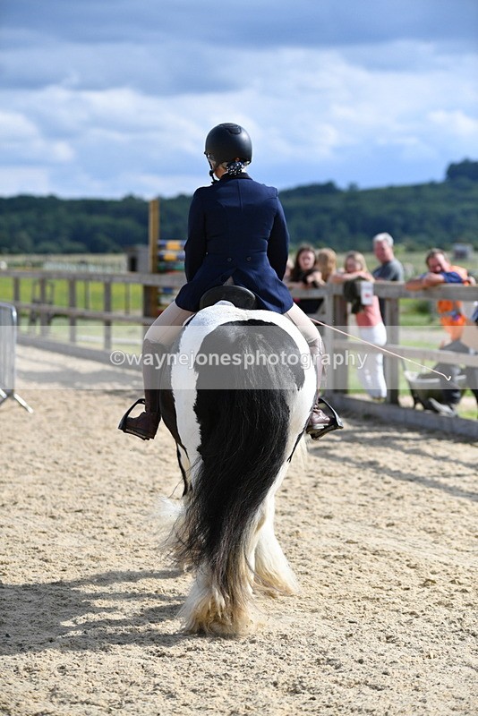 WJ5_7803 - Time 16:40 to 16:55