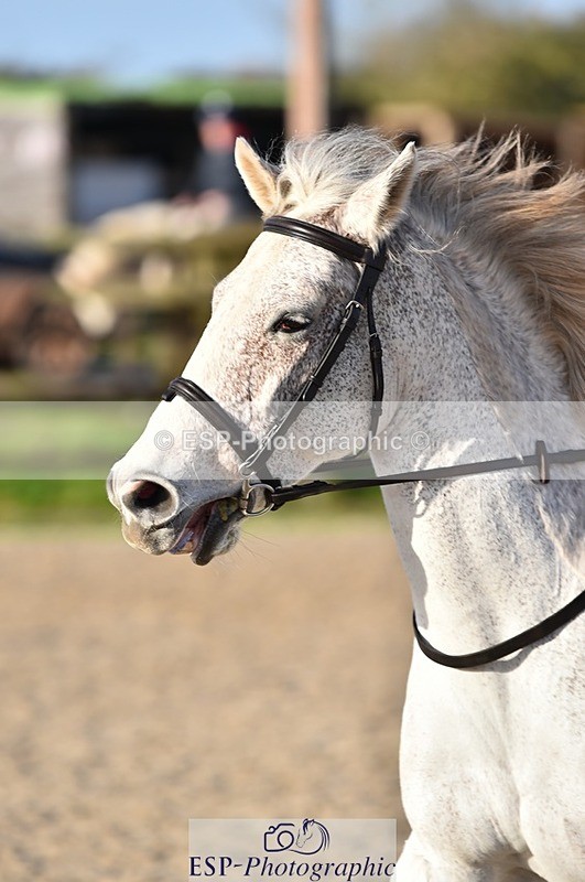 231210-124902-00586 - Cls 4 60cm