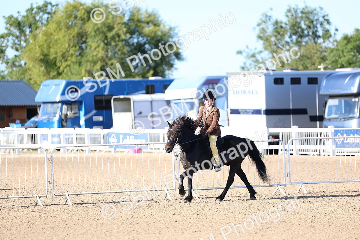 SBM_07836 - Class 301 - Ridden M&M - Small Breeds