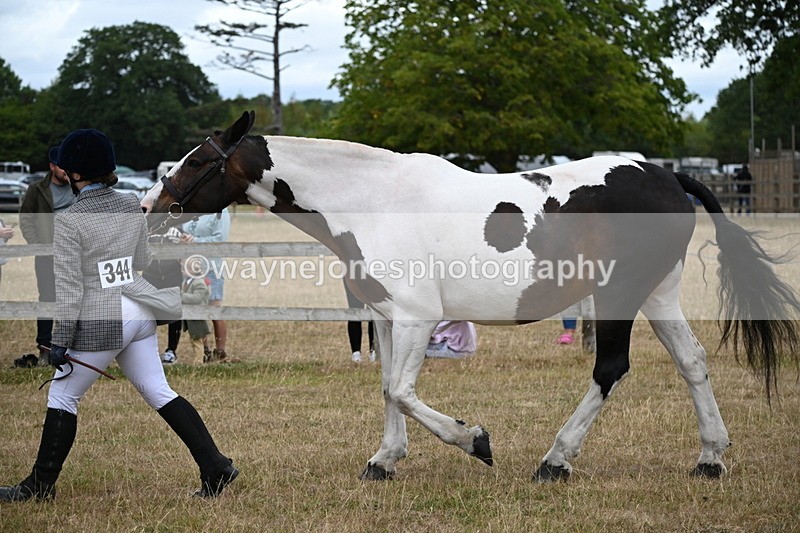 WJ6_8293 - Class 10 Coloured in Hand