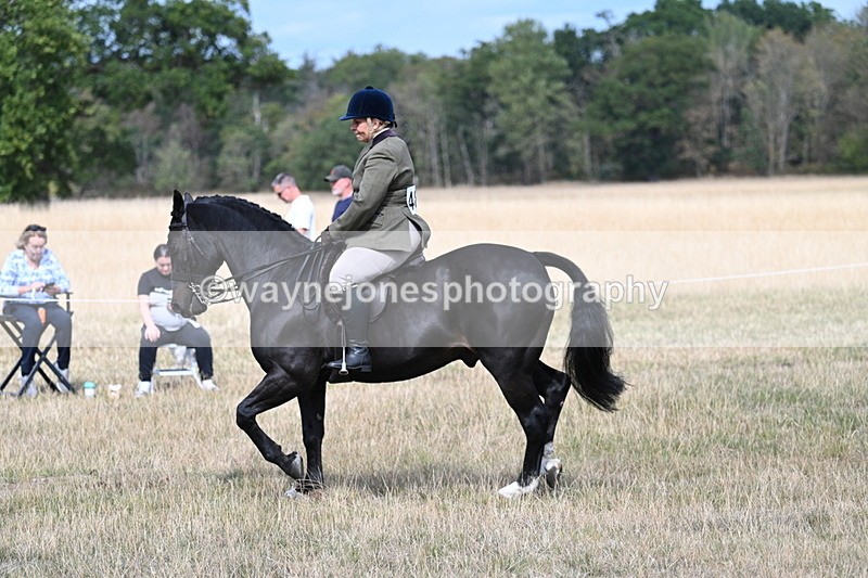 WJ7_5864 - Class 13 Ridden Veterans