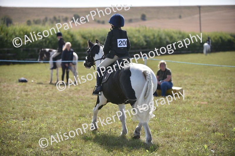 20260906-1781 - Class 11 - 13hh and Under