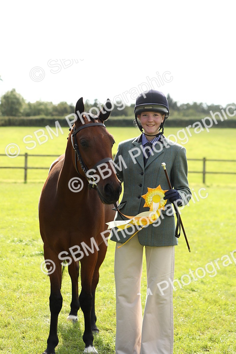 SBM_65631 - S48 - Show Pony & Show Hunter Pony In Hand