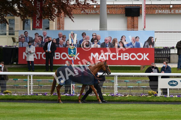 yr14052021r4-1 - Race 4 3.10pm The Matchbook Yorkshire Cup