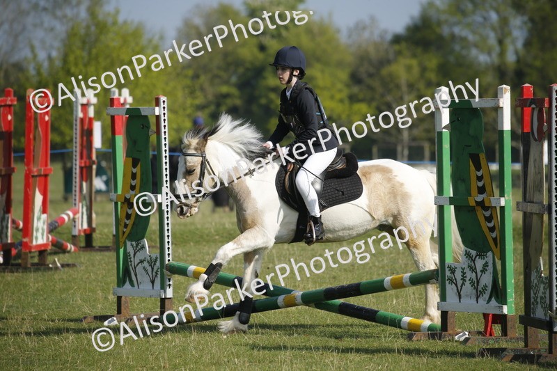 20250427-0280 - Class 12 - Rookie Jumping 40cm