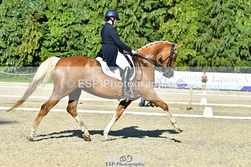 230623-181224-03190 - Cls 11 FEI PSG