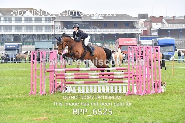 BPP_6525 - CLASS 1 Senior Newcomers/ 1.10m Open