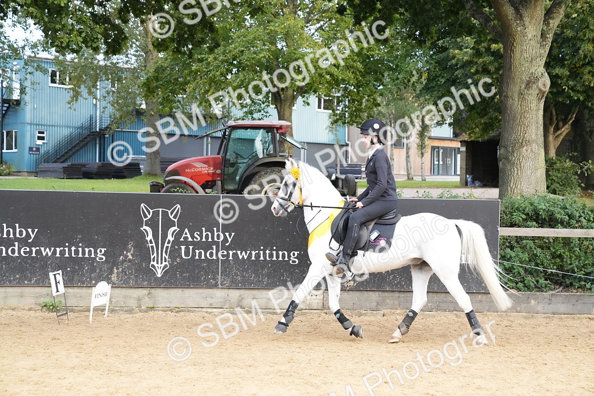 SBM_74958 - J4 - Mini Tour Junior Pony 45cm Championship