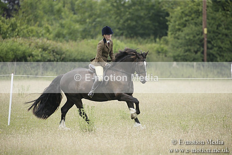 B230619-0511 - Bourne Valley Riding Club Summer Show 23/06/19