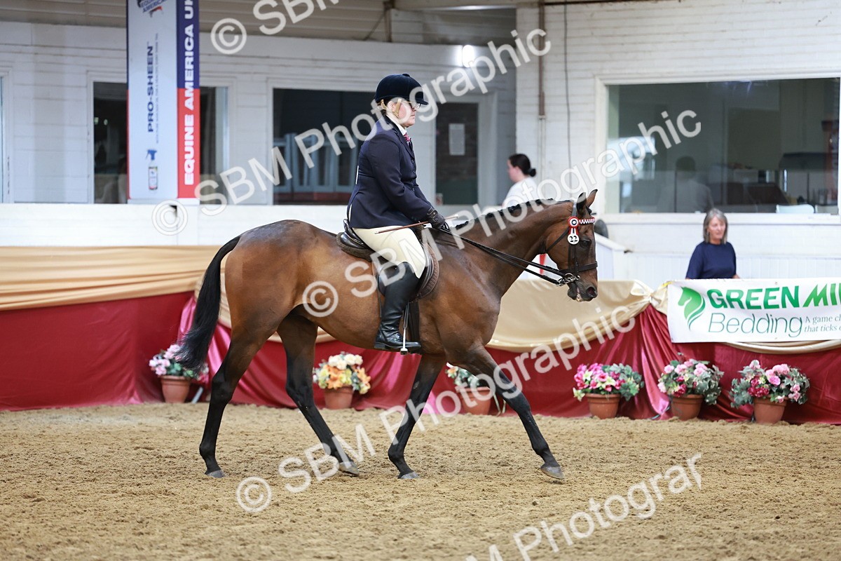 SBM_14954 - Class 108 - Ridden Retired Racehorse