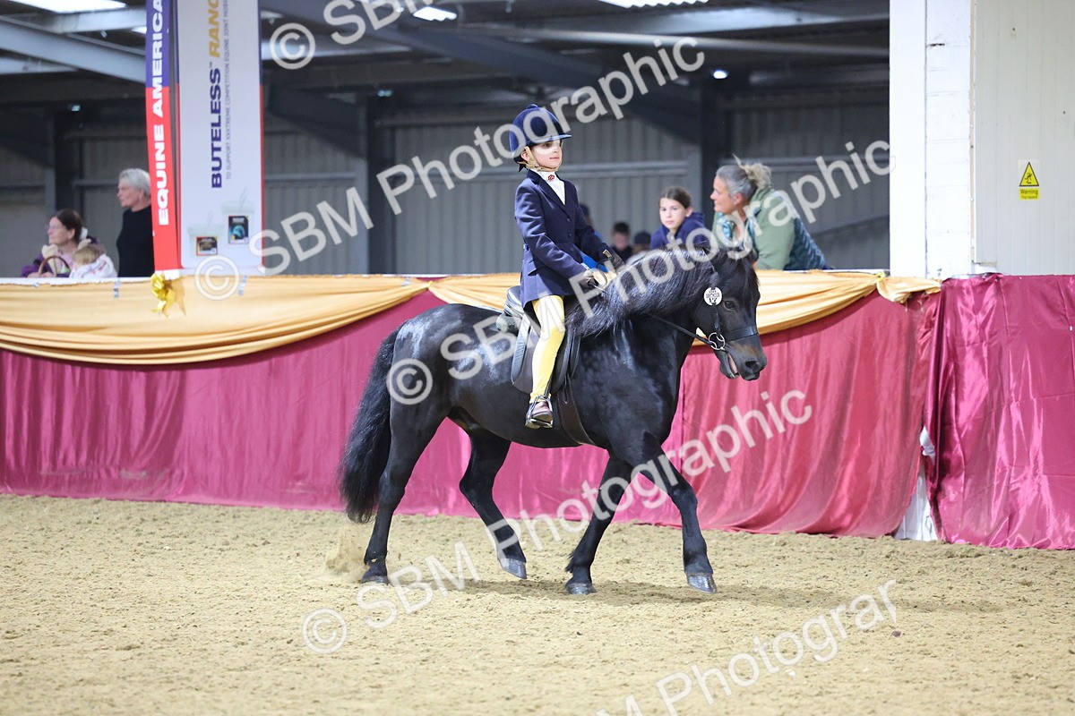 SBM_18994 - Class G Ridden Pony Champ