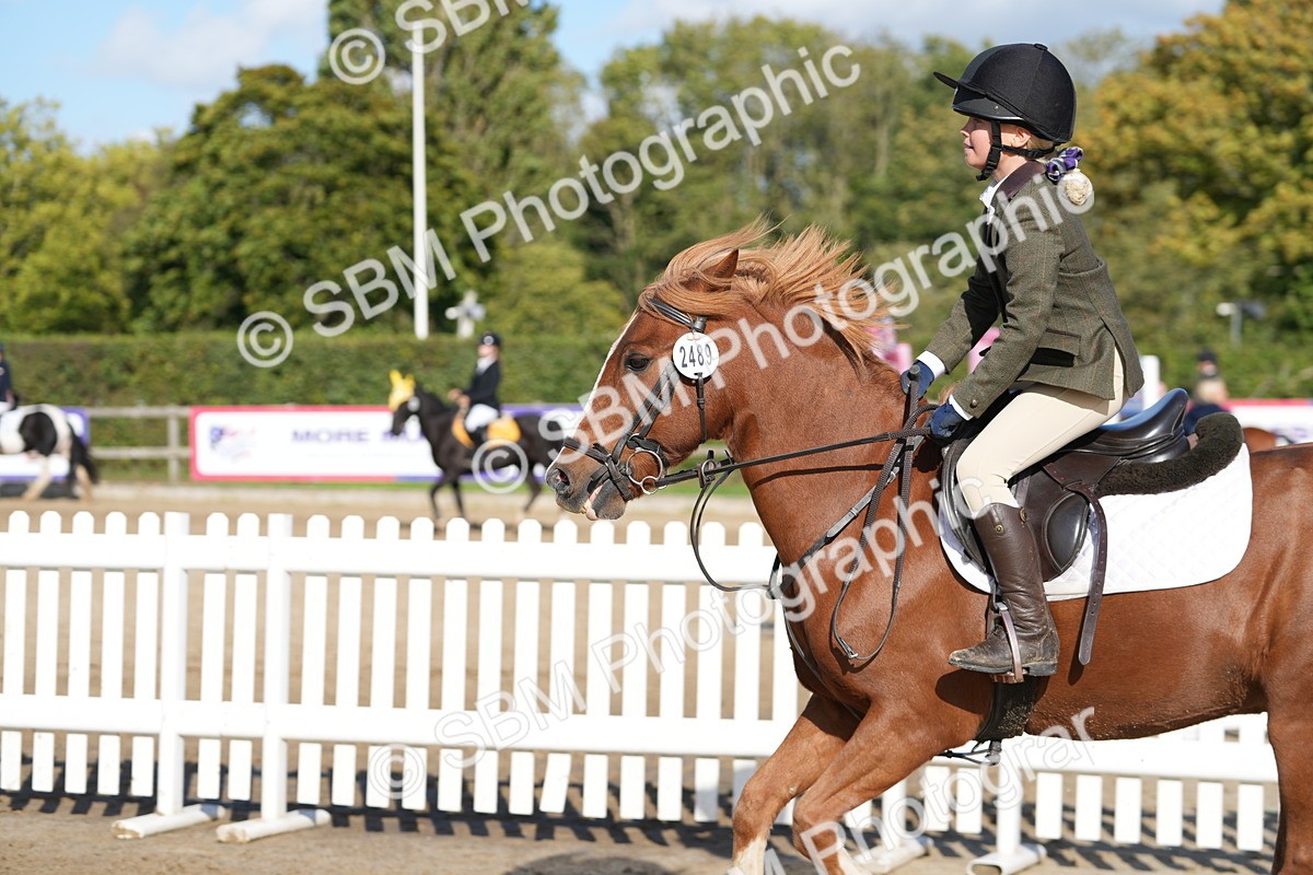 SBM_49376 - J8 - Junior Pony 65cm Championship