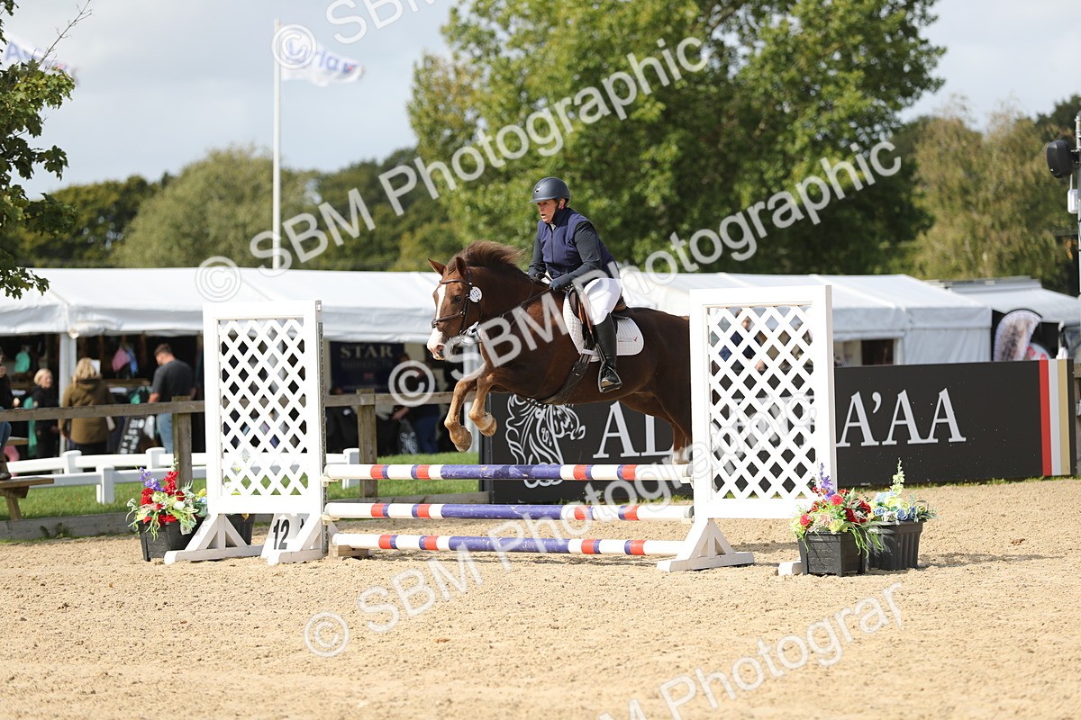 SBM_05693 - J35 - Veteran Rider 60cm