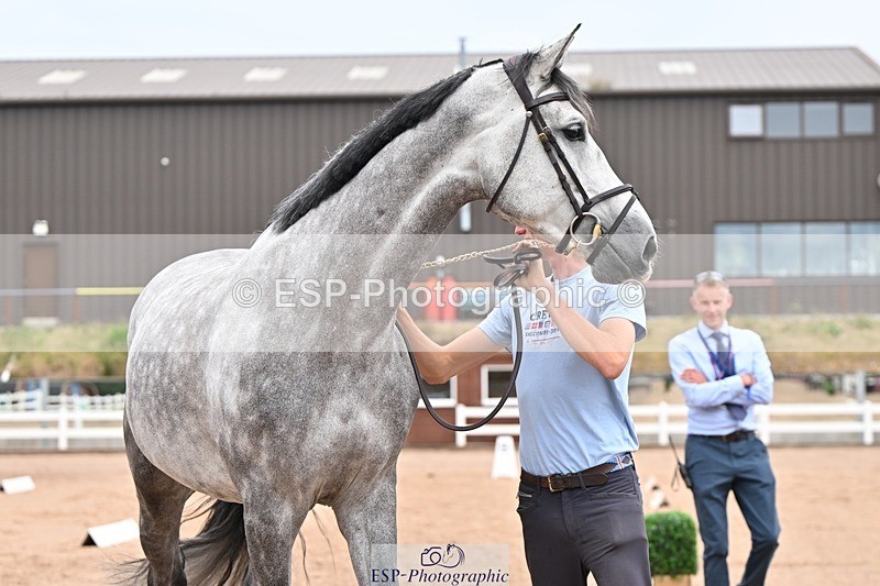 250716-152911-01962 - Trot Up 2.30 to 3.30