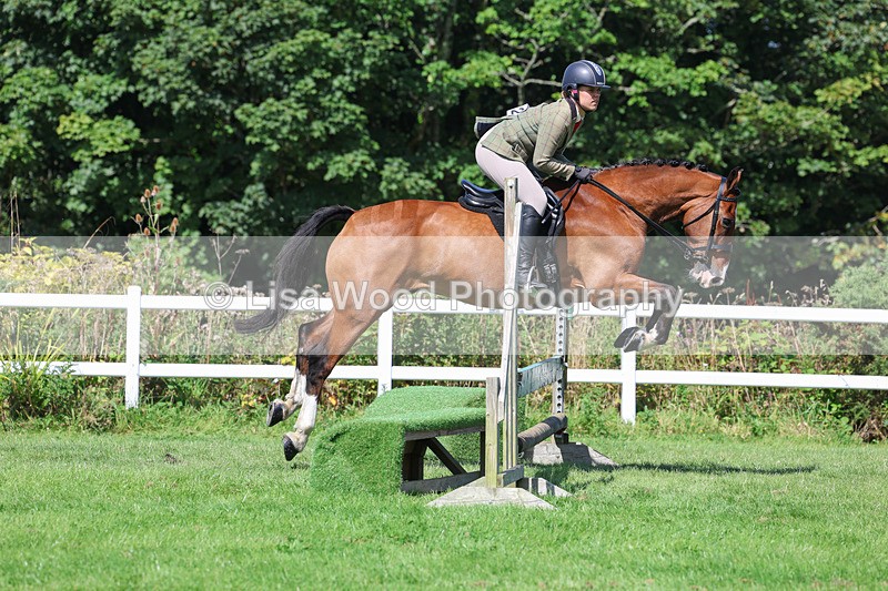 3E7A8547 - Class 5: Working Show Horse