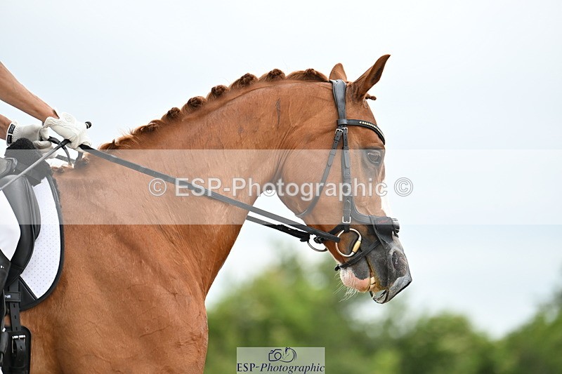 240623A-125608-18094 - Cls 51 BD Elementary 53