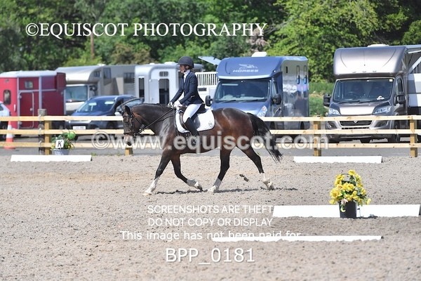 BPP_0181 - SHORT ARENA  MY QUEST PRELIM