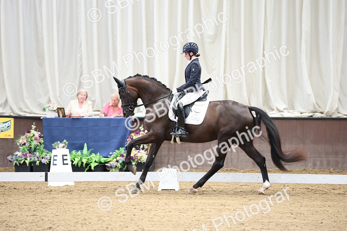 SBM_002149 - Class 5 - Novice 6 Gold - 9.00-10.10