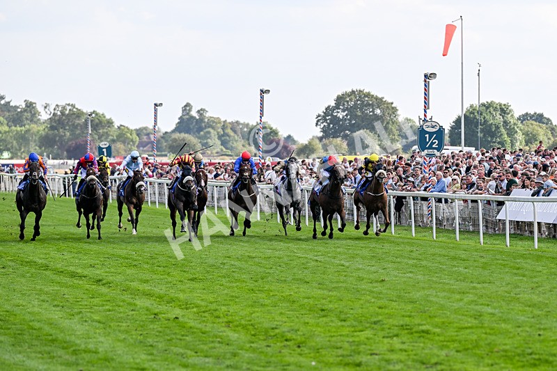 220826-Race 5-Sondad-1064 - Race 5 16.10pm Sky Bet Constantine Handicap