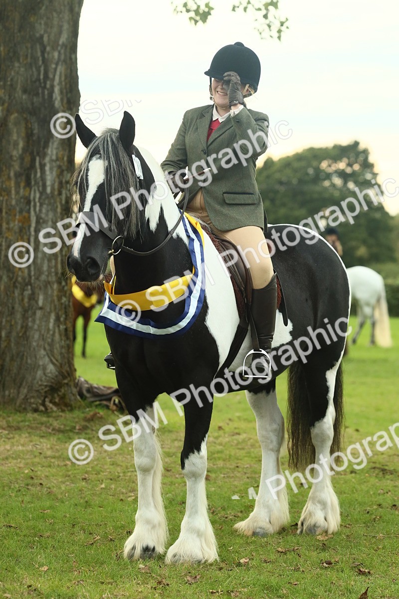 SBM_75291 - Super Supreme Championship