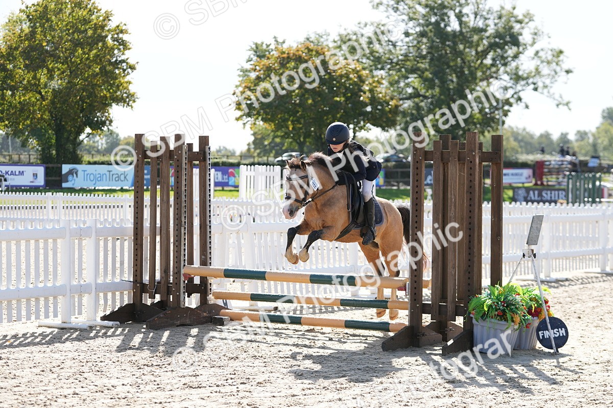 SBM_38375 - J6 - Junior Pony 55cm Championship