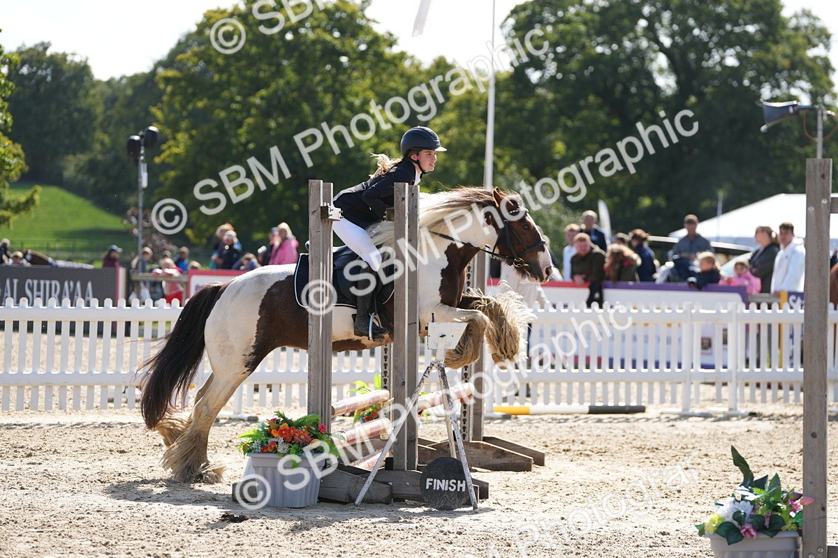 SBM_46608 - J7 - Junior Pony 60cm Championship