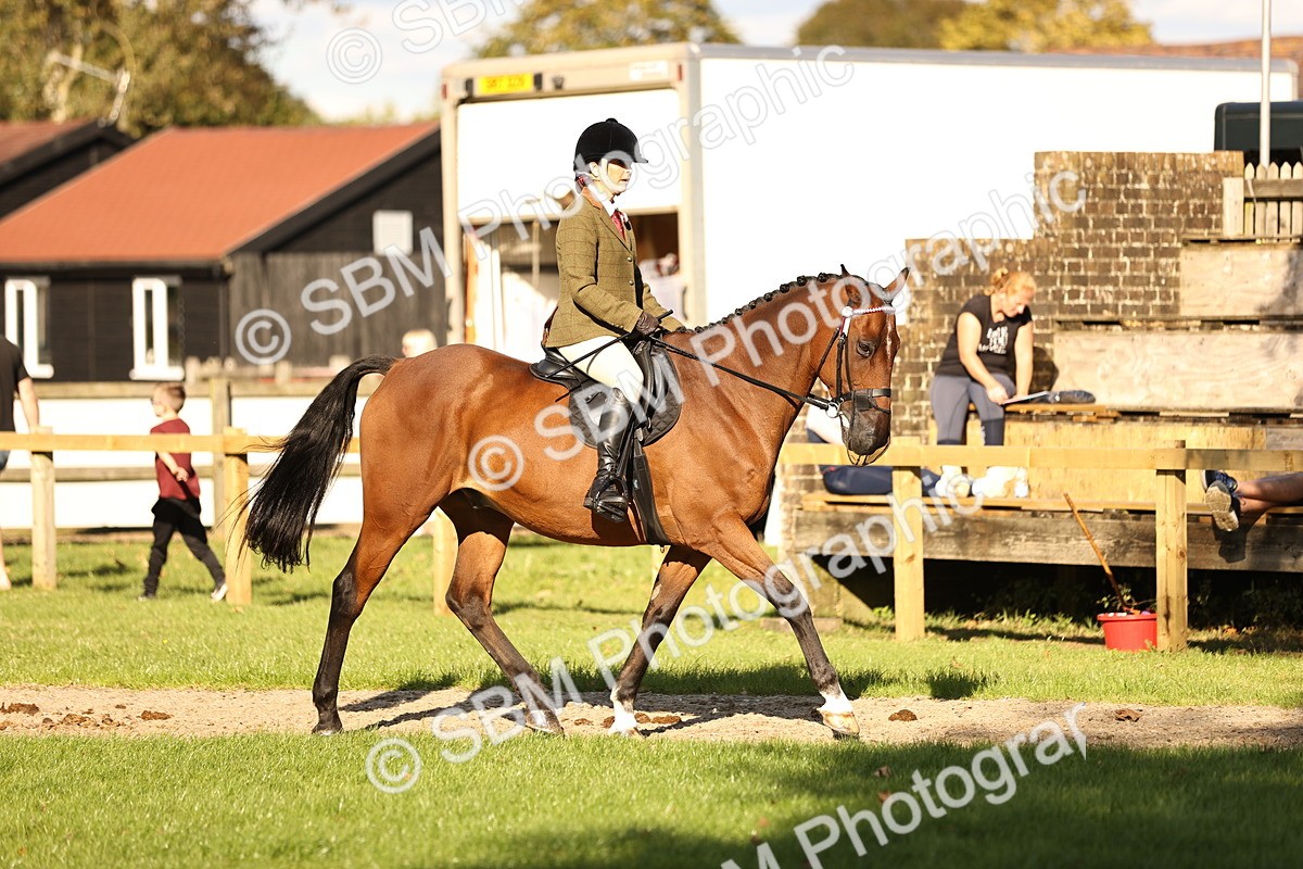SBM_26451 - S6 - Novice & Newcomers Ridden Horse