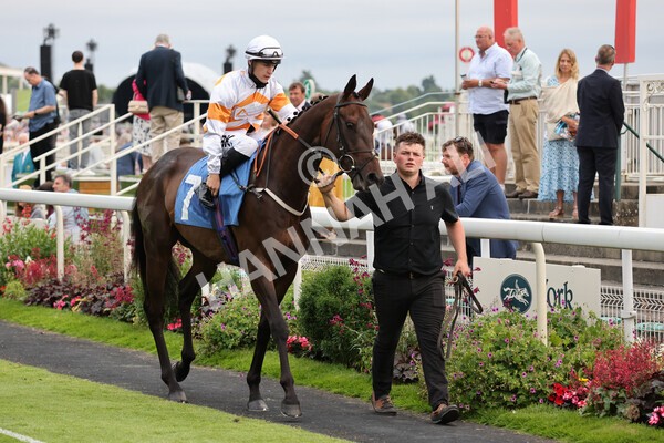 yr23072021r5-6 - Race 5 8.00pm Gallop Racing Stakes