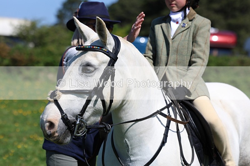 3E7A0178 - Class 4: Best Combination Junior