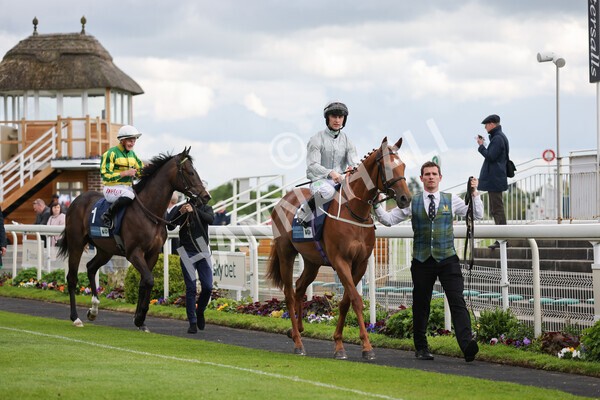 yr11052022r7-7 - Race 7 5.15pm British Stallion Studs EBF Novice Stakes
