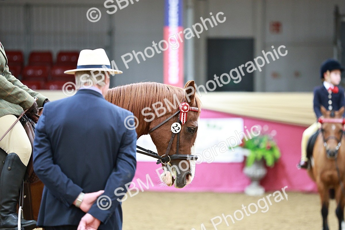 SBM_03031 - Class 5A - Area Ridden Veteran
