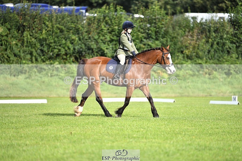 230826-090513-15023 - Sections C & D 9 to 10am