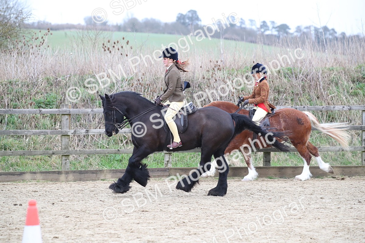 SBM_007246 - Class 10-13 - RIHS Small Large Breeds