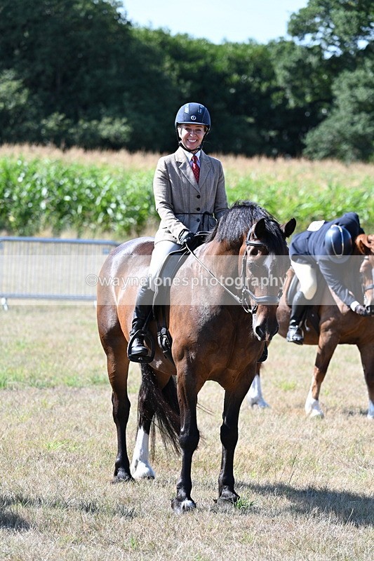 WJ7_3641 - Class 9 Mountain & Moorland Ridden