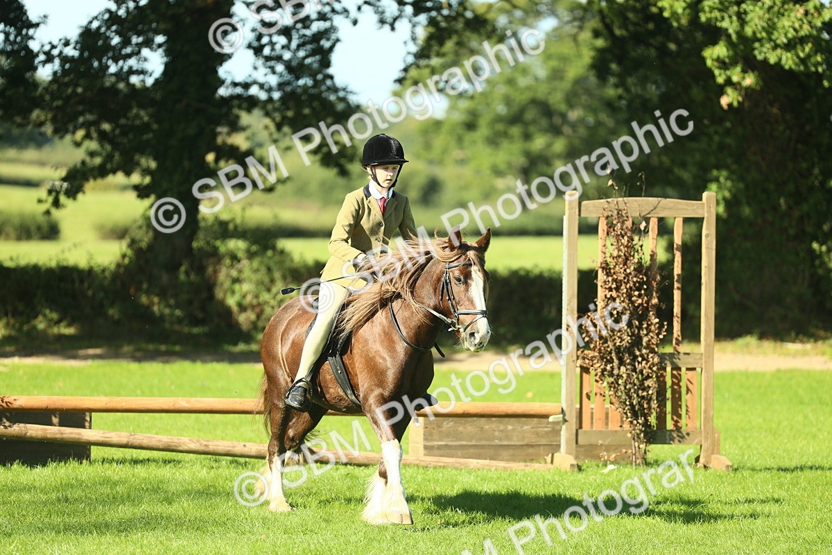 SBM_37551 - S29 - Novice & Newcomers Working Hunter Pony