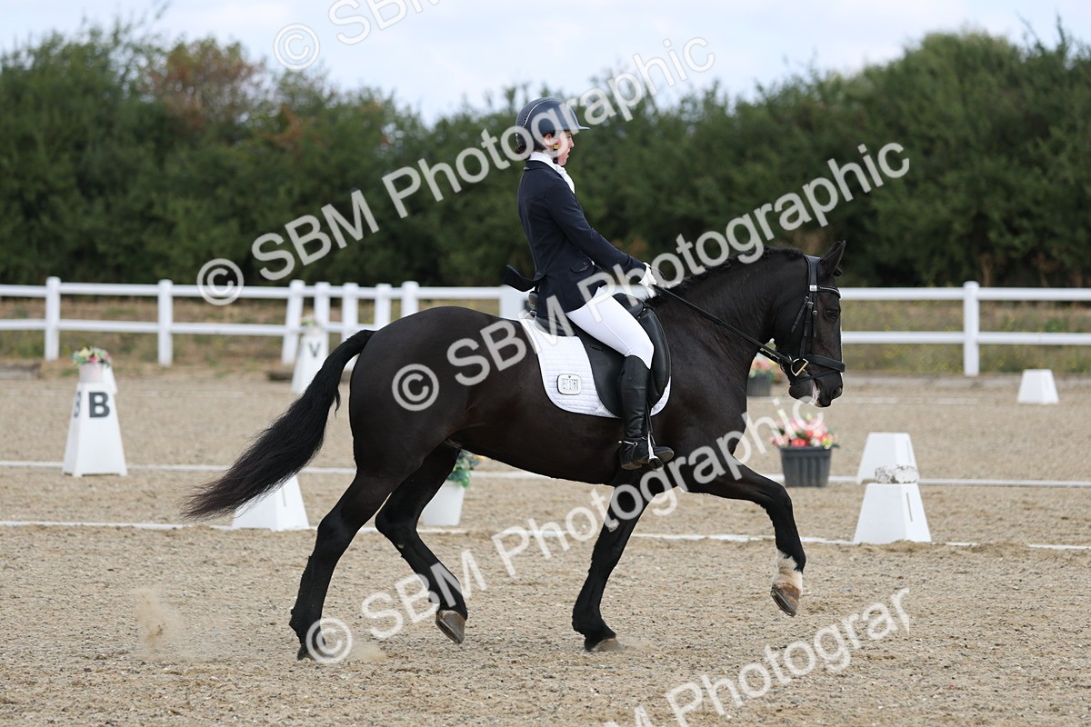 SBM_020309