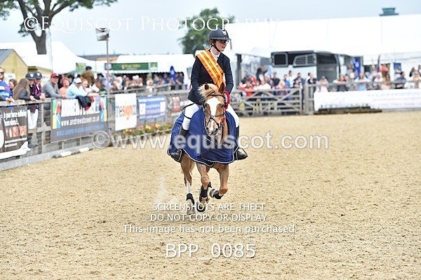 BPP_0085 - RHS 2019 Selection - *Just some random spectator shots so Lucky Dip if you are there!