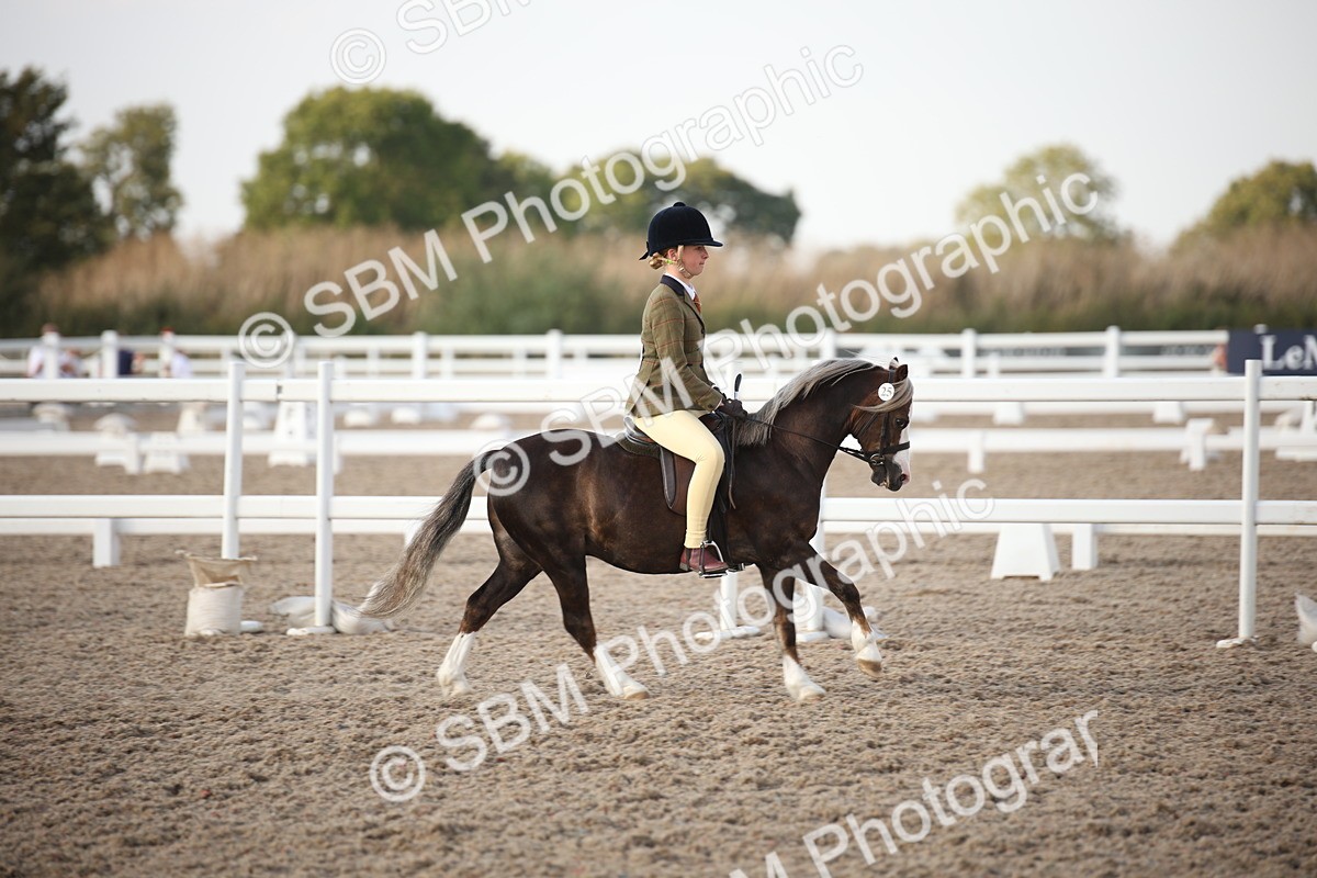 SBM_09196 - Regional Ridden Champ