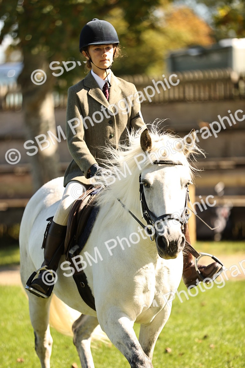 SBM_19152 - S3 - TSR Ridden Pony Showing
