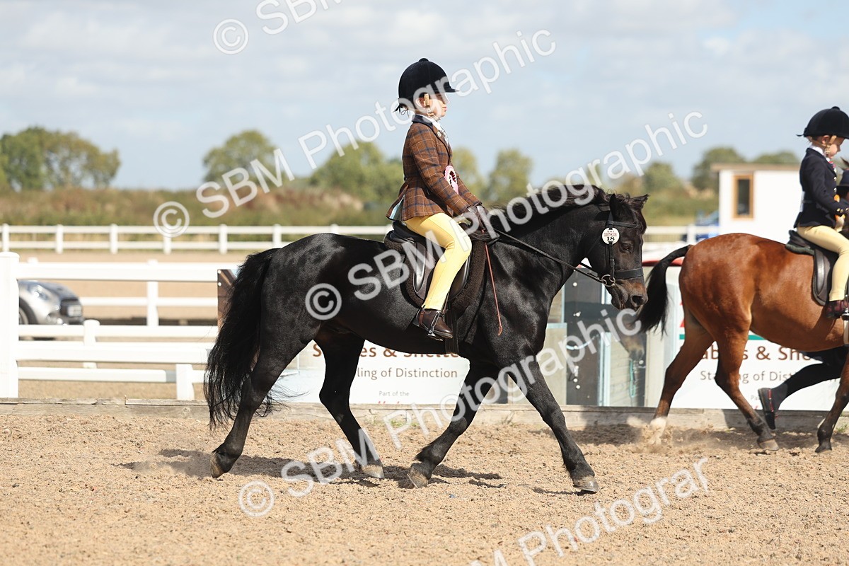 SBM_23201 - Class 806 - Young Rider 10ry and Under