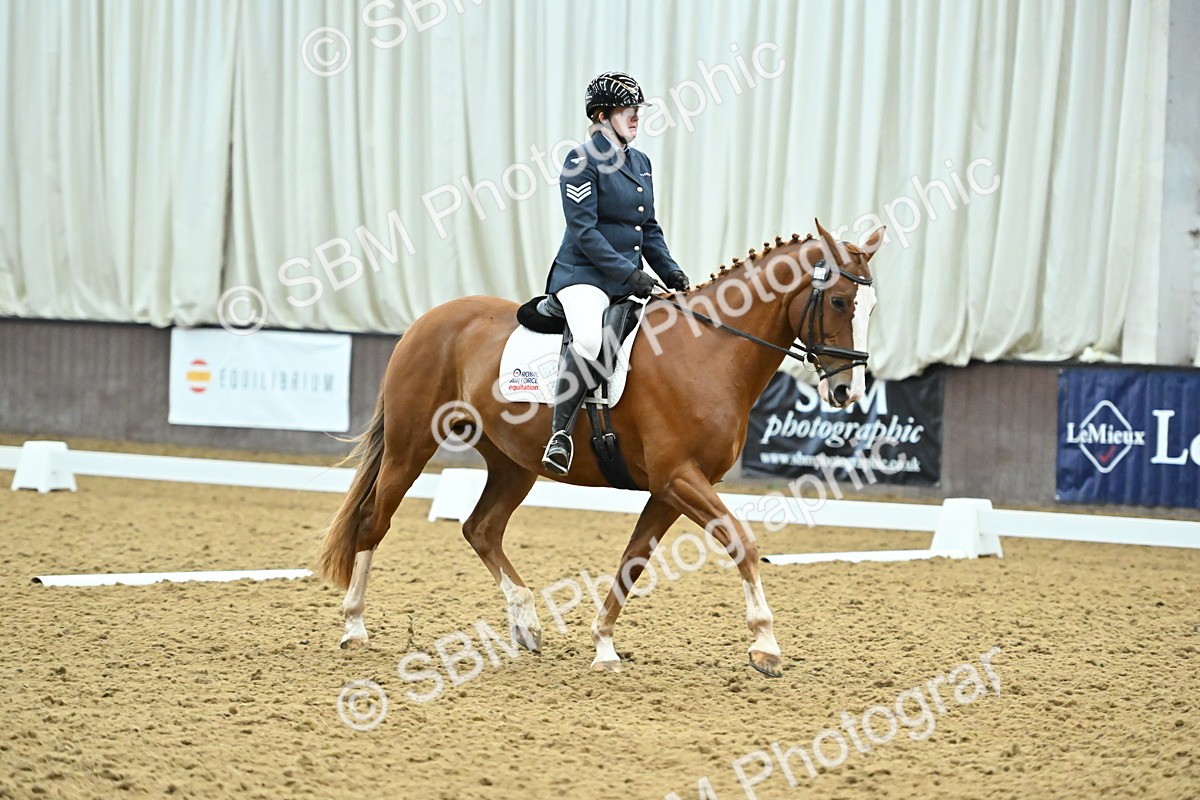 SBM_007547 - Class 81 - Novice 3