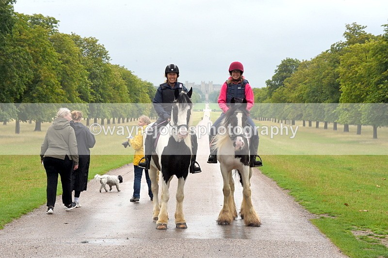 TT3_8207 - Time at Crossing 09:15 to 10:15