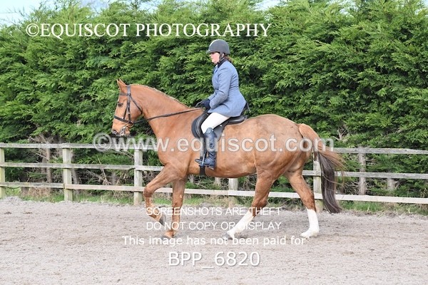 BPP_6820 - RING 1  (RIDDEN HORSES / IN HAND / VETERAN ETC)