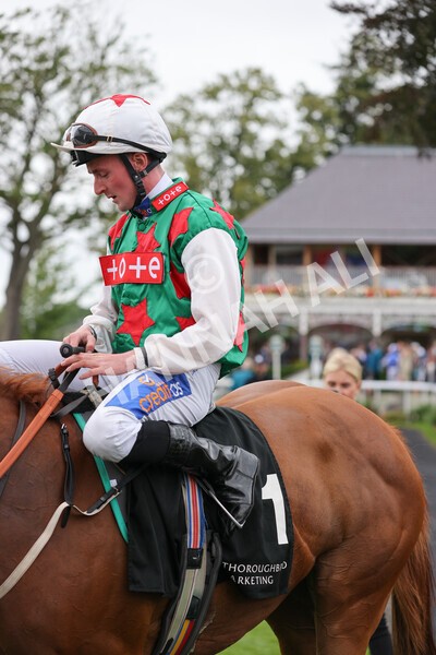 yr18082021r6-42 - Race 6 4.45pm IRE-Incentive It Pays To Buy Irish Stakes