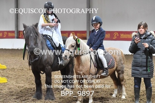 BPP_9897 - CLASS 1 CROSSPOLES